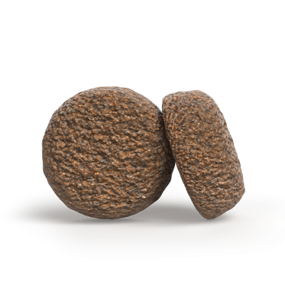 A/S ADULT ACTIVE NATURE    Состав