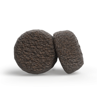 A/S ADULT FESTIVAL   Состав