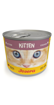 Kitten Chicken wet
