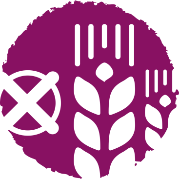 Беззерновая рецептура