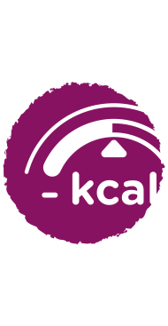 Средний энергетический эквивалент