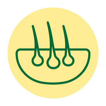 Кожа и шерсть