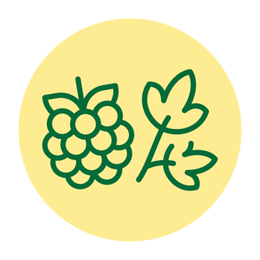 Травы и фрукты