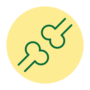 Развитие скелета