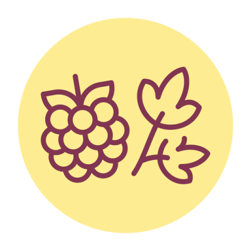 Травы и фрукты