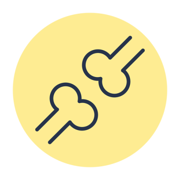 Развитие скелета