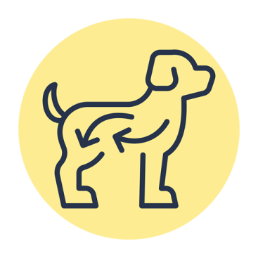 Хорошее пищеварение